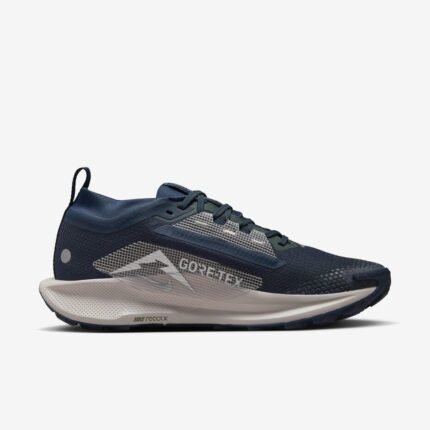 Nike Pegasus Trail 5 GORE-TEX
