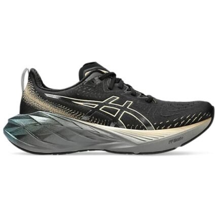 Asics Novablast 4