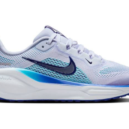 Nike Air Zoom Pegasus 41