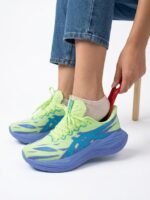 Shoe horn 1 Pic